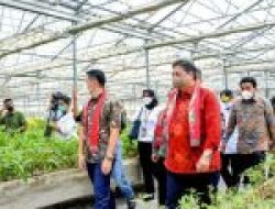 Airlangga: Reforestrasi Dorong Akselerasi Pertumbuhan Green Economy