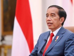 Menjaga Stabilitas Ekonomi Nasional, Presiden Jokowi Perkuat Peran UMKM