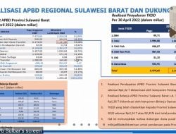 DAK Fisik Per April 2022, Ini Tiga Pemda di Sulbar dengan Serapan Nol Rupiah