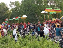 Festival Sayyang Pattuqduq, Lestarikan Budaya, Hiburan Bagi Warga