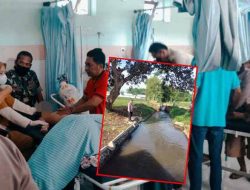 Kakak-Adik Tewas Tenggelam saat Mandi di Sungai