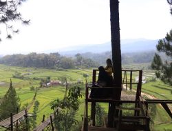 Sandiaga Uno Batal ke Desa Wisata Tondok Bakaru