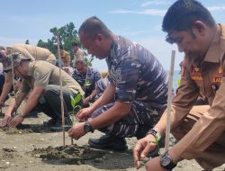 Hari Mangrove Sedunia, TNI-AL Serentak Tanam Mangrove di 77 Lokasi di Indonesia