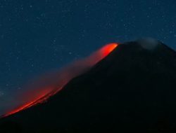 Selama Sepekan, Gunung Merapi Luncurkan 43 Kali Guguran Lava