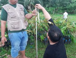 Dinas Kehutanan Anggarkan Rp1,2 Miliar Untuk Penghijauan Lingkungan