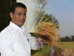 Berkat Warisan Amran Sulaiman, Pertanian Kalsel Berkembang, dan  Indonesia Jadi Lumbung Pangan Dunia