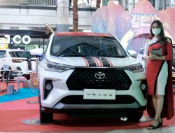 Toyota Avanza-Veloz Masih Rajai Market Segmen Low MPV