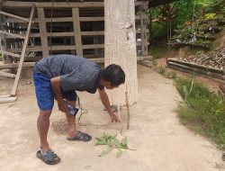 Tanah Bergerak di Mamasa: Lahan  Amblas Dua Meter, 11 Rumah Rusak 