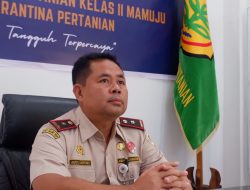 Strategi Pengendalian Penyakit Mulut dan Kuku di Kabupaten Mamasa