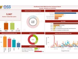 DPMPTSP Beri Gambaran Kegiatan Penanaman Modal di Sulbar Berdasarkan OSS RBA