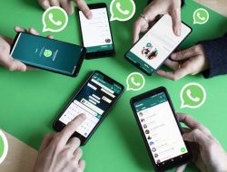Baru Rilis, Fitur Reaksi Status Meluncur ke Beberapa Pengguna WhatsApp Beta