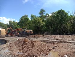 Sampah Ancam Hutan Mangrove