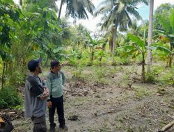 Kemenag Majene Tinjau Lokasi Pembangunan MAN Insan Cendekia