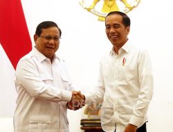 Jokowi Memprediksi Pilpres 2024 Jatah Prabowo, Willy NasDem Bereaksi, Ada Kata Aneh