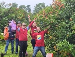 “Lomba Petik Buah” Meriahkan Temu Mitra Tiran Group Beserta IKA UNHAS, Peserta Puas Bawa Hasil Panen