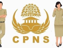 Pendaftaran CPNS 2023 untuk SMA dan SMK Siap Dibuka, Banyak Formasi Disediakan