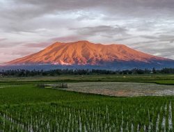 Hingga Senin, Erupsi Gunung Marapi di Sumbar Capai 72 Kali
