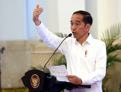 Dorong Kemajuan UMKM, Jokowi Bentengi Indonesia dari Resesi