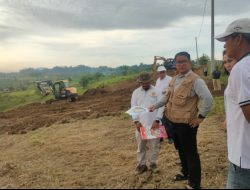 35 Hektar di Polman Siap Jadi Sumber  Pengembangan  Benih Induk Hortikultura