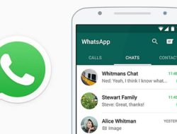 Biar Tak Diintip, Simak Cara Sembunyikan Chat di WhatsApp