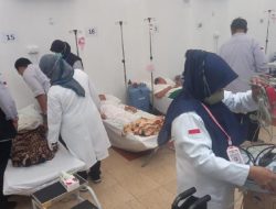 PKH Kemenkes Buka Lowongan Tenaga Pendukung Kesehatan Haji 2023, Catat Jadwal dan Syaratnya