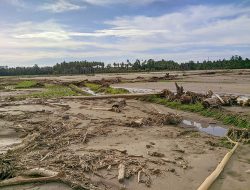 Puluhan Hektar Sawah Rusak, Warga Menanti Alat Berat, Aksan: Belum Ada Surat Permintaan