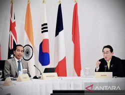 Jokowi Ajak Perusahaan Jepang Investasi di IKN