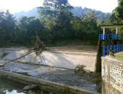 Bendungan Darma Tak Dialiri Air, Ratusan Hektare Sawah Terancam Gagal Panen
