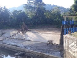Petani Krisis Air, Ratusan Hektare Padi di Polman Terancam Gagal Panen