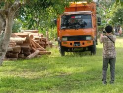 Tak Terbukti Ilegal, Gakkum Lepas Kayu Sitaan