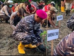 Menkav 2 Marinir, Ikuti Penanaman Mangrove Di Tambak Cemandi Sidoarjo