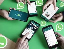 WhatsApp Siapkan Fitur Kelola Kontak
