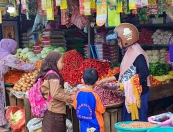 Imbas Nilai Impor Anjlok, Harga Bawang Putih Naik