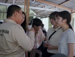 Mahasiswa Jepang Ikut Sekolah Lapang Kakao di Sulbar