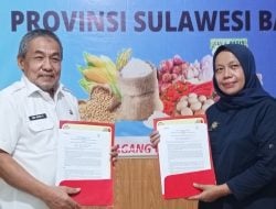 Distapan Sulbar Kerjasama Bulog, Jamin Ketersediaan Beras CBPP