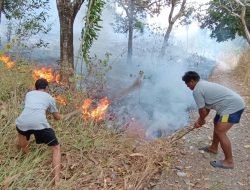 Belasan Hektare Lahan di Pulau Battoa Terbakar