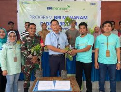 Program BRI Menanam, 110 Bibit Rambutan Sasar Desa Ulidang
