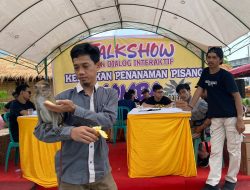 Lanceng Meriahkan Lomba Makan Pisang di Makassar