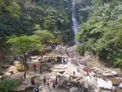 Nikmati Keindahan Wisata Pengunungan dan Kopi Robusta Sanggabuana, Wujud Pemberdayaan Desa BRILiaN