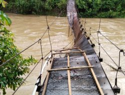 Jembatan Gantung Putus, Satu Dusun di Mambi Terisolir