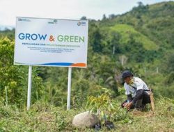 Bangkitkan Harapan Petani di Lahan Kritis, BRI Menanam Grow & Green Salurkan Bantuan Tanaman Produktif