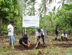 BRI Grow & Green Berdayakan Petani Menanam Tanaman Produktif di Lahan Kritis