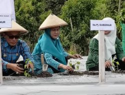 Pemprov Sulbar Launching Gerakan Sejuta Tanam Cabai, Siap Sasar Enam Kabupaten