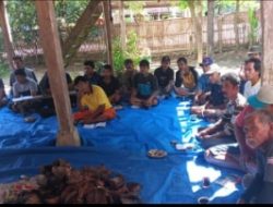 Tingkatkan SDM Petani, DTPHP Sulbar Adakan Sekolah Lapang PHT di Desa Galung Lombok