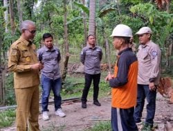 Disbun Sulbar Dukung Pengembangan Budidaya Aren