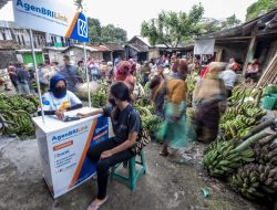 Cerita Penjual Ayam Kampung Terbantu Keberadaan Kredit Ultra Mikro Yang Disalurkan AgenBRILink