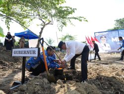 Bahtiar Baharuddin  Dorong Sulbar Jadi Penghasil Sukun di Dunia