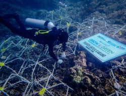 BRI Menanam Grow & Green Bantu Jaga Ekosistem Laut dan Kembangkan Potensi Wisata Daerah