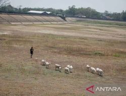 Indonesia dan Dunia Berkolaborasi Atasi Krisis Iklim