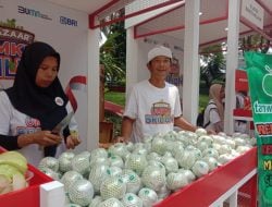 KUR BRI Dorong Kemajuan Klaster Jambu Kristal di Purworejo